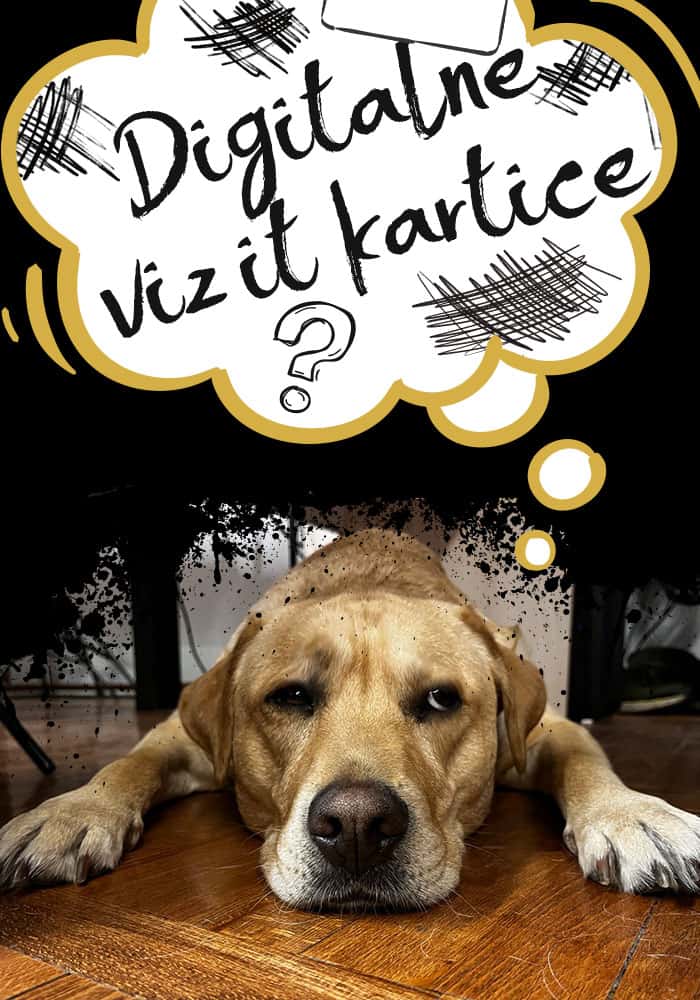 FAQ Digitalne Vizit Kartice NFC karte FAQ Digitalne Vizit Kartice NFC karte